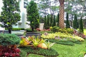 jasa tukang taman dan pembuatan taman jabodetabek